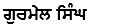 Punjabi Section - Author 1