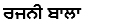 Punjabi Section - Author 1