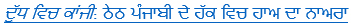 Punjabi Section - Article Title 2